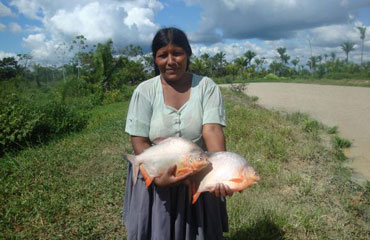 Peces para la Vida accompaña el crecimiento del sector acuicola en la Amazonia boliviana