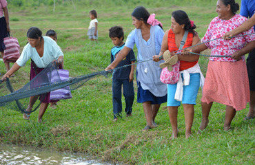 Peces para la Vida fortalece el rol de la mujer en las cadenas de pescado en Bolivia.