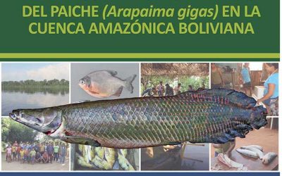 Libro sobre aprovechamiento y manejo del paiche (Arapaima gigas) en la Amazonía boliviana