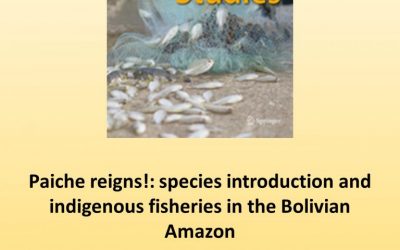 “Paiche reigns!” species introduction and indigenous fisheries in the Bolivian Amazon