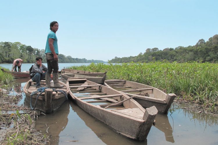 Mejorando la gobernanza en la pesca en la Cuenca Amazónica boliviana