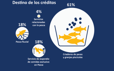 Productos financieros en los sectores pesca y piscicultura